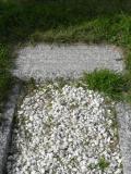 image of grave number 300291